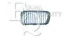 BMW 51138172280 Radiator Grille